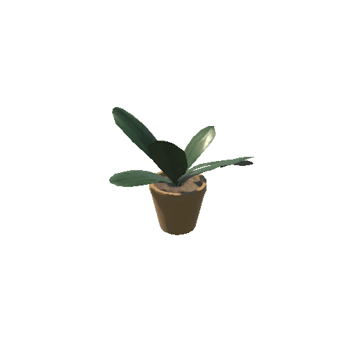 Plant 2